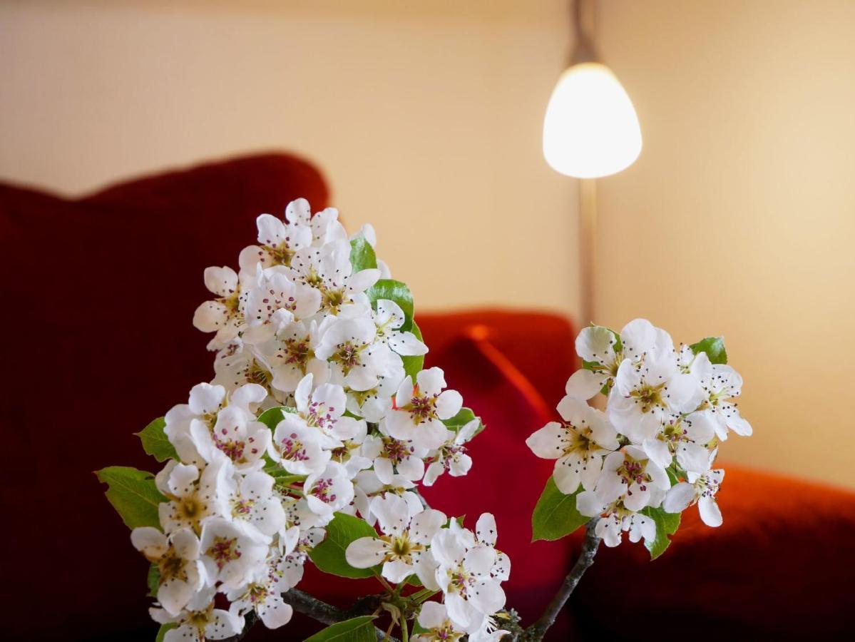فيلا Buehlbauernhof باد بيترستال غريسب المظهر الخارجي الصورة